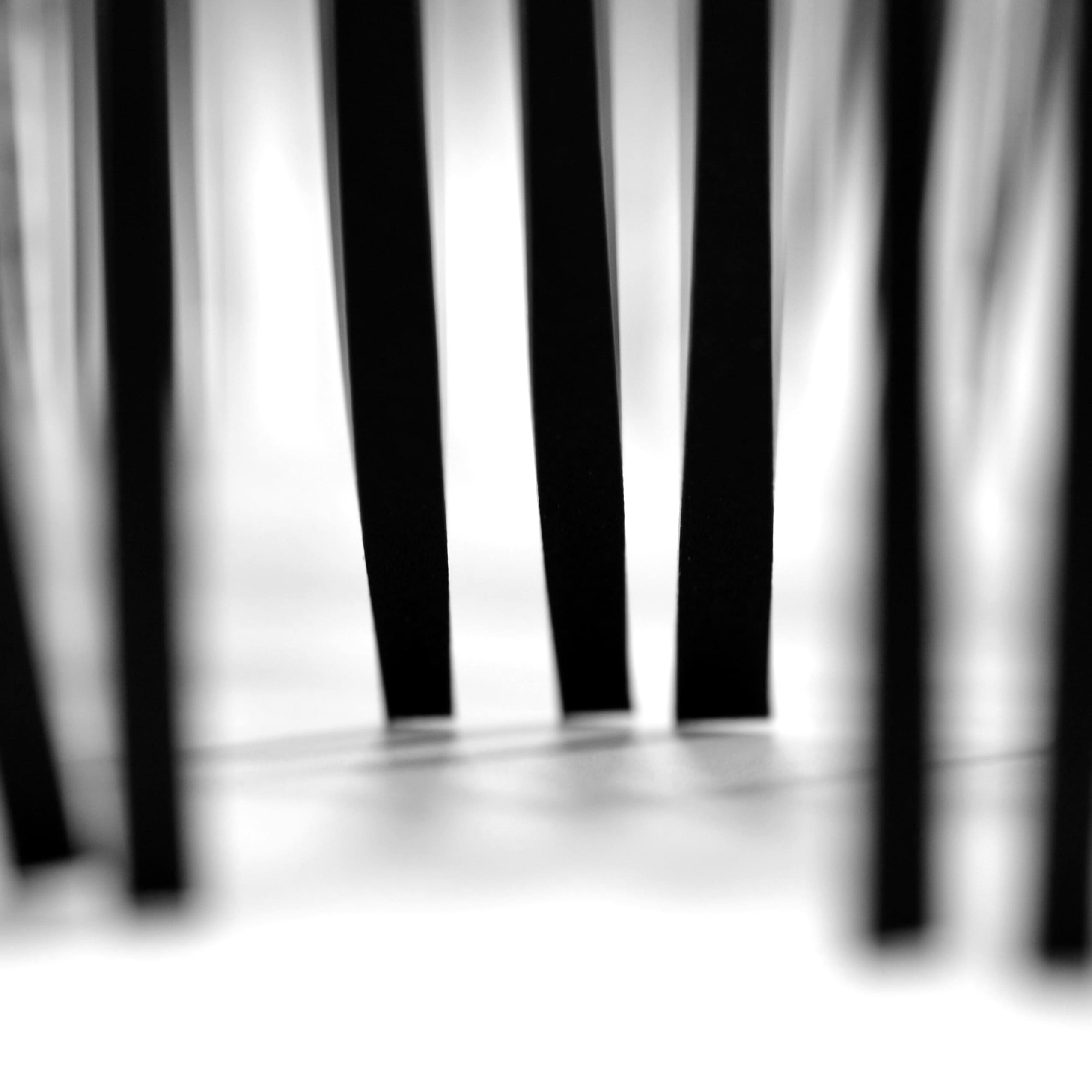 SWF_2351 (2) (2)